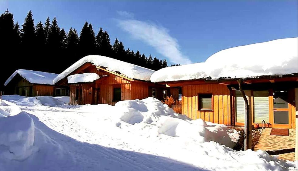 Dobringers Chalet-Dorf Waroes Hermagor-Pressegger See Exteriér fotografie